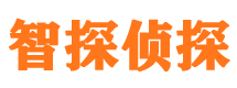 东辽市私家侦探